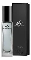Burberry Mr. Burberry