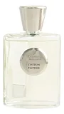 Giardino Benessere Cotton Flower