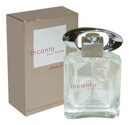 Ferragamo Incanto Pour Homme