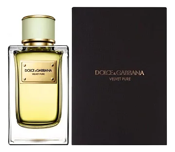 Dolce & Gabbana Velvet Pure
