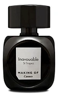 Making of Cannes Inavouable