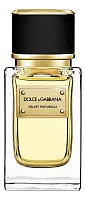 Dolce & Gabbana Velvet Patchouli
