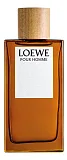 Loewe Pour Homme