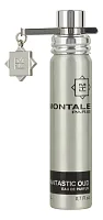 Montale Fantastic Oud