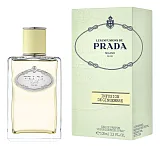 Prada Infusion De Gingembre