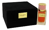 Dolce & Gabbana Velvet Love