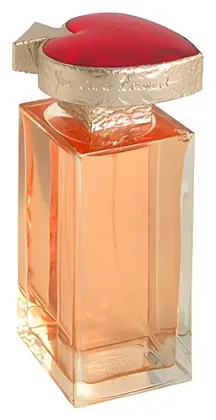 Yves Saint Laurent Vice Versa