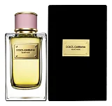 Dolce & Gabbana Velvet Rose