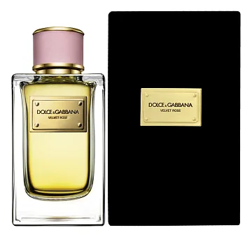 Dolce & Gabbana Velvet Rose