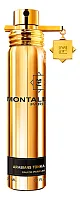 Montale Arabians Tonka