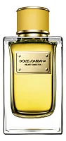 Dolce & Gabbana Velvet Ginestra