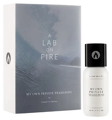 A Lab On Fire My Own Private Teahupo'o