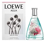 Loewe Agua De Loewe Mar De Coral