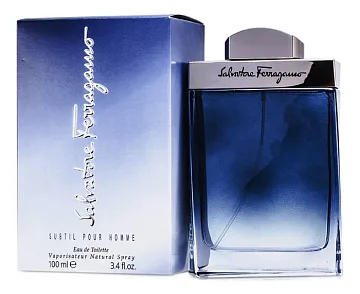 Ferragamo Subtil Pour Homme