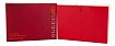 Gucci Rush